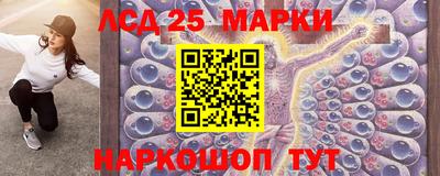 СК Новозыбков