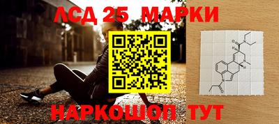 СК Новозыбков