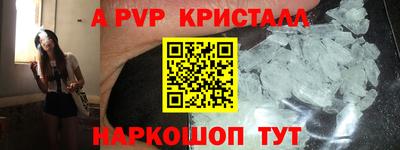 СК Новозыбков