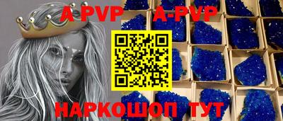 СК Новозыбков