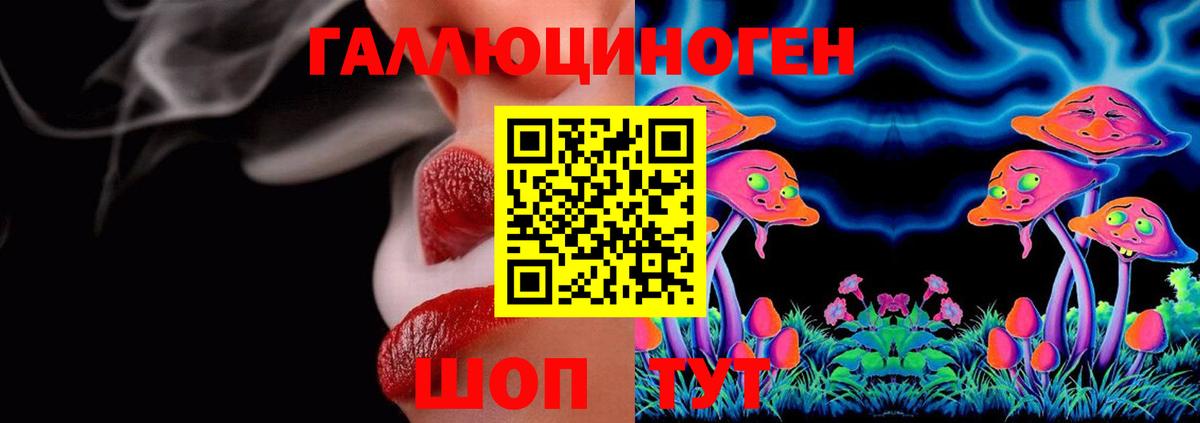 Волхов  Галлюциногенные грибы мицелий  Вход с VPN 